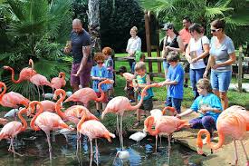 Things to Do - Attractions - Florida - Sarasota-Bradenton